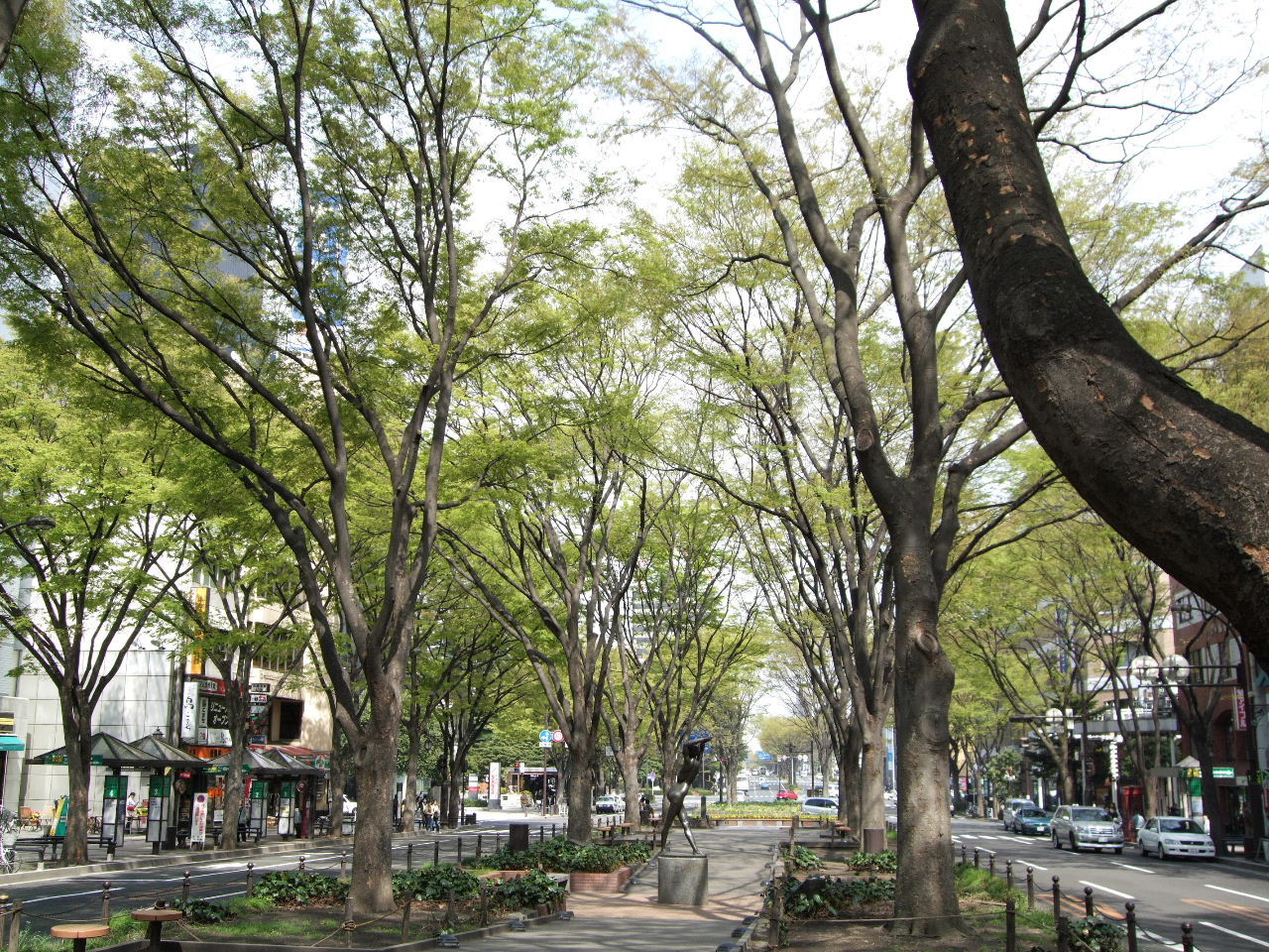 f0100593_1713660.jpg