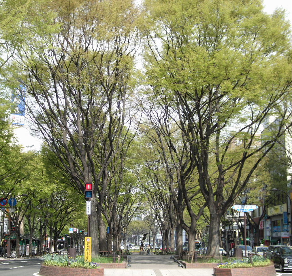 f0100593_1731444.jpg