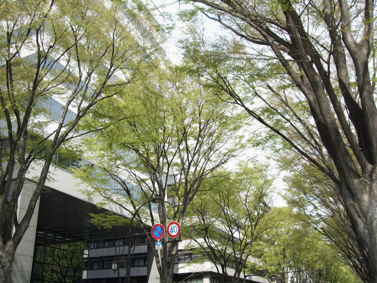 f0100593_19431959.jpg
