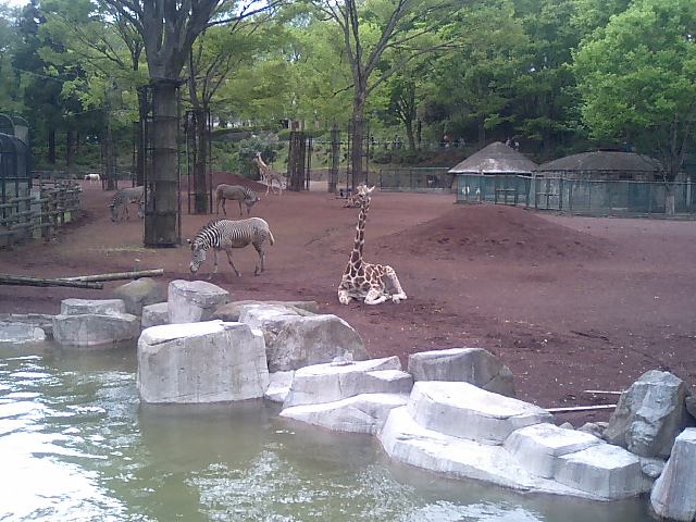 f0120295_1412370.jpg