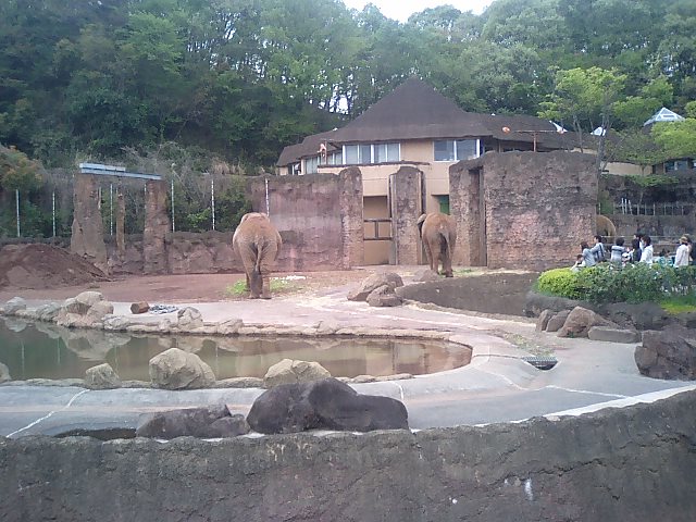 f0120295_1414932.jpg