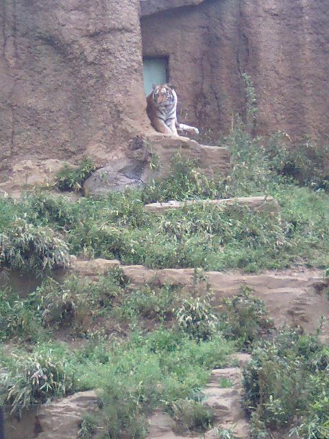 f0120295_1417089.jpg