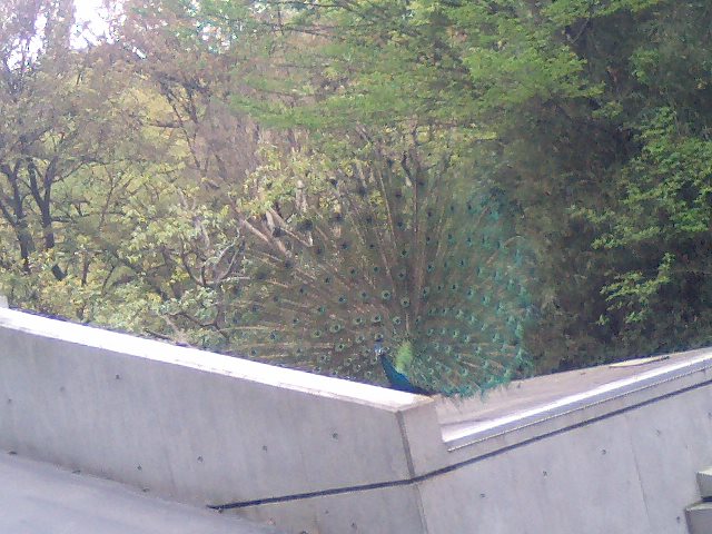 f0120295_1485878.jpg