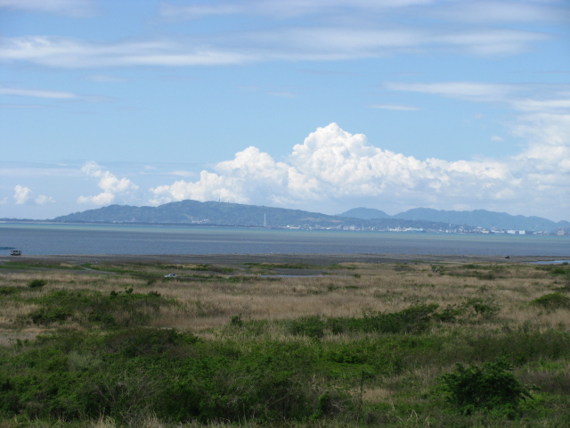 c0133096_1453353.jpg