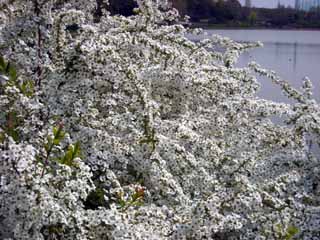 d0122397_2131530.jpg