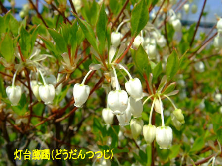 b0087400_23161176.jpg