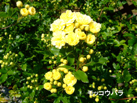 b0087400_23251884.jpg