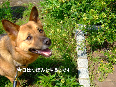 b0087400_23325688.jpg