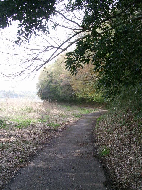 e0025300_953454.jpg