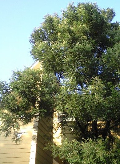 b0083902_20122058.jpg