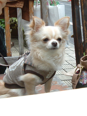 a0079803_0305847.jpg