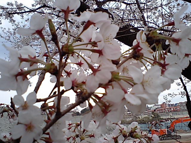 d0054704_0103871.jpg