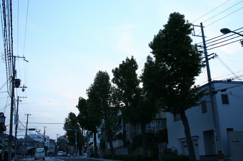 d0131006_21272175.jpg