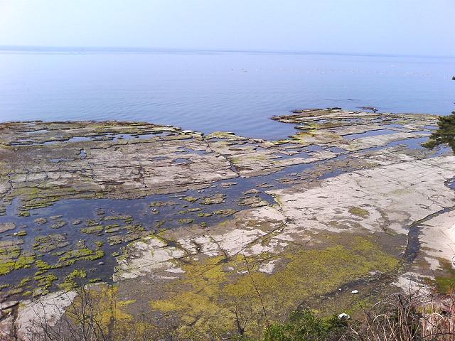 a0072808_1431564.jpg