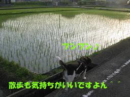 d0104209_20464461.jpg