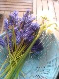 e0094820_024050.jpg