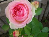 b0128423_9365980.jpg