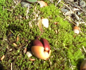 d0035823_16192090.jpg