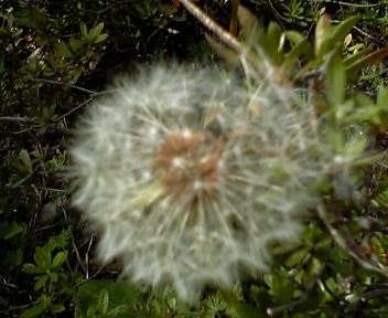 d0035823_16241551.jpg