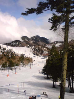 f0128723_23184270.jpg