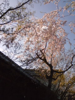 f0128723_23233075.jpg