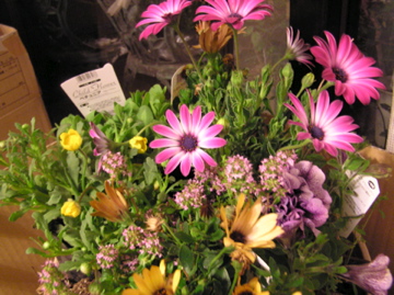 f0128723_23413253.jpg
