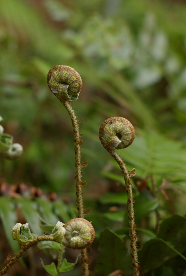 c0107924_2305695.jpg