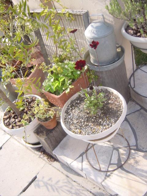 e0050324_142042100.jpg