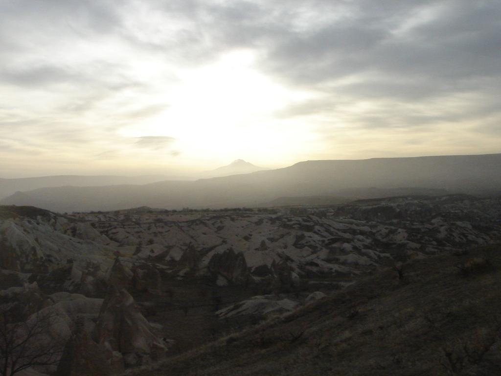 f0132327_2329242.jpg