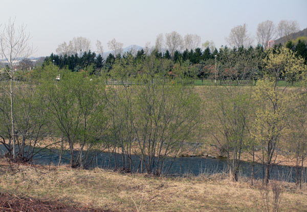 a0046429_22134025.jpg