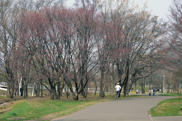 a0046429_22175382.jpg