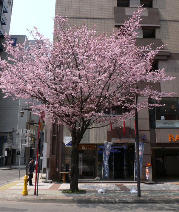 a0046429_22391244.jpg