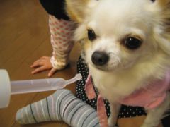 c0140230_10165688.jpg