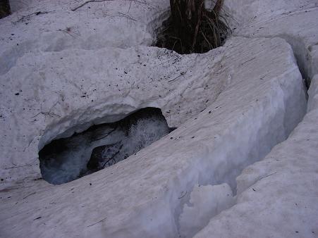 f0118332_0452332.jpg