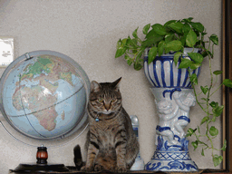 c0136736_2154514.gif