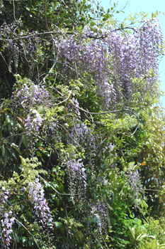 f0029536_14195778.jpg