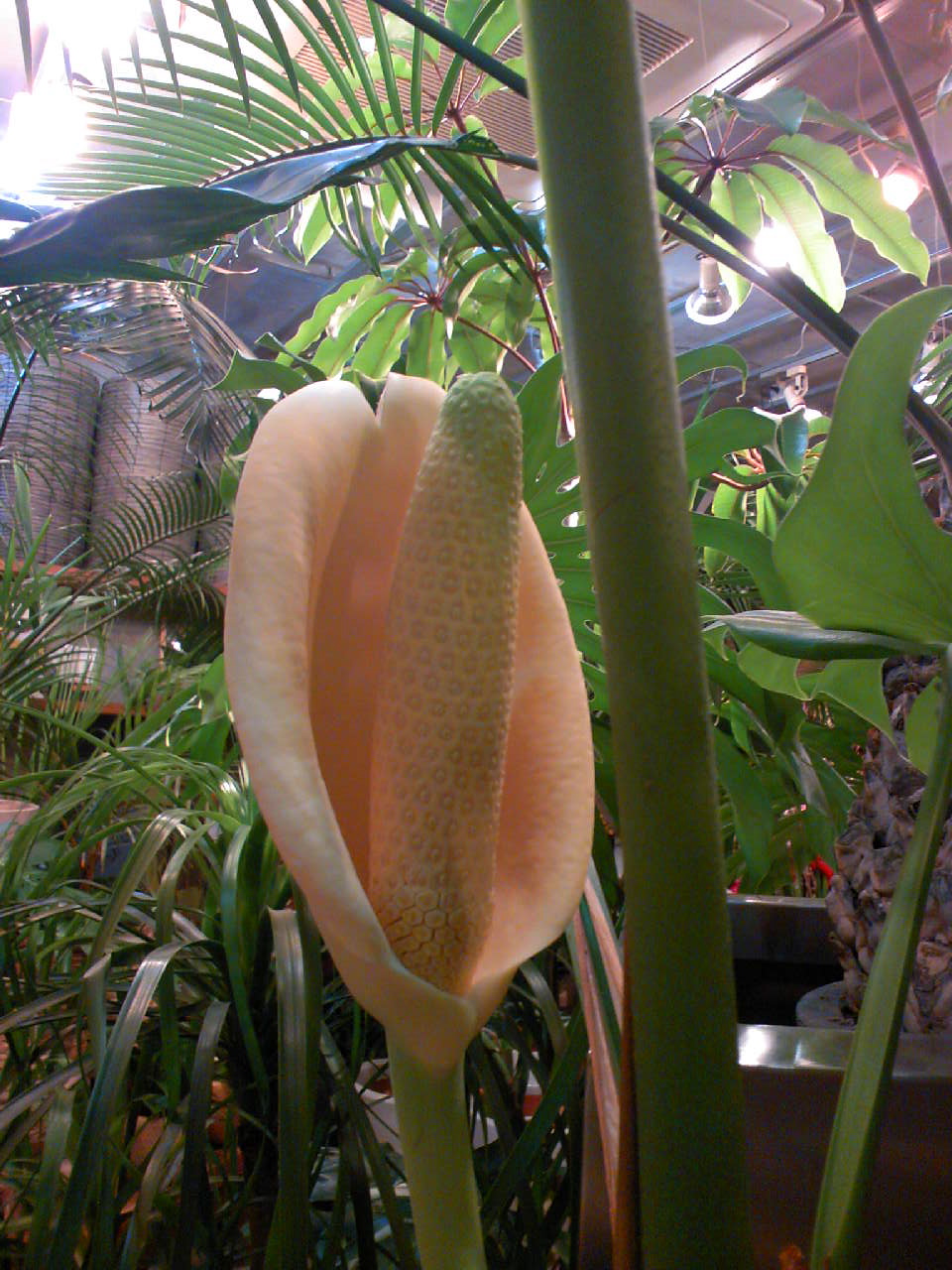 c0125637_2349151.jpg