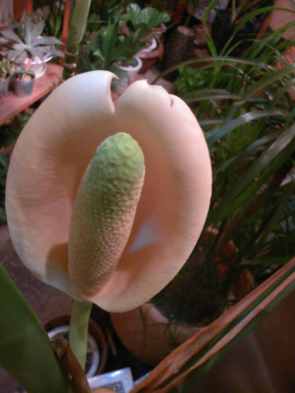 c0125637_23513621.jpg