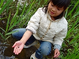d0126139_10331484.jpg