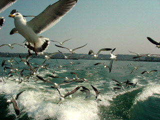 d0151443_11484970.jpg