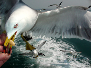 d0151443_1155199.jpg