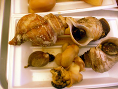 d0151443_1353064.jpg