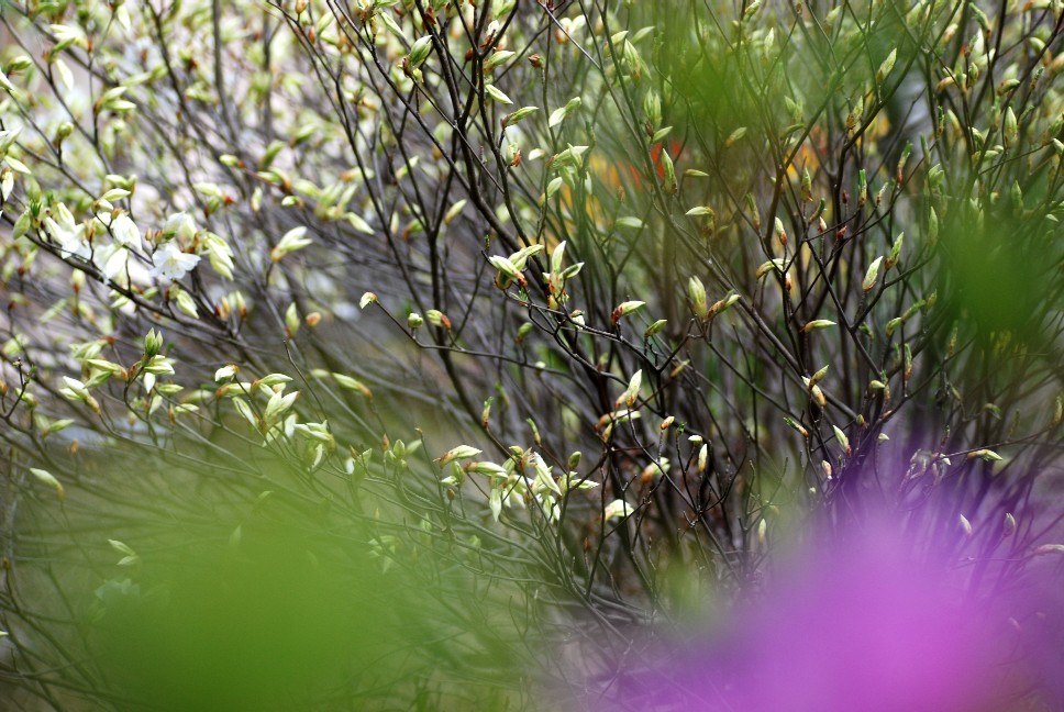 e0009147_18462149.jpg