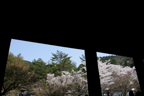a0024250_22154768.jpg