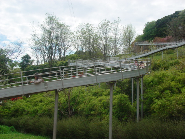 f0151052_1651931.jpg