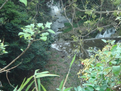 c0108460_23285327.jpg