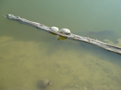 c0108460_23292275.jpg