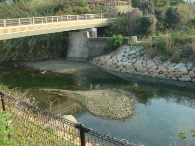 c0108460_23294969.jpg