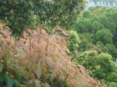 c0108460_23321100.jpg