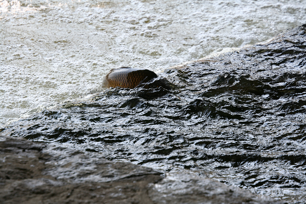 d0148060_19225110.jpg